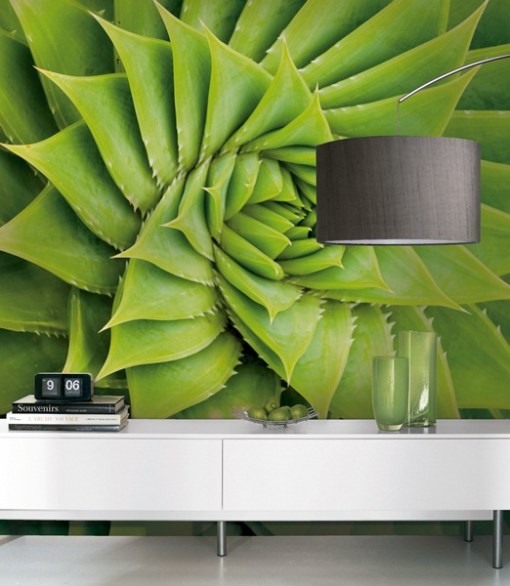 fotomurales decorativos naturaleza