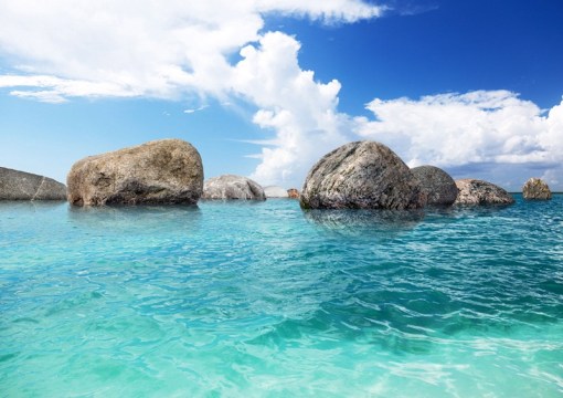 Fotomural Decorativo FTS 1301