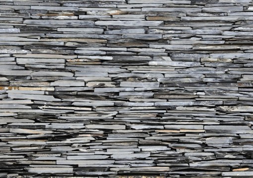 Fotomural Decorativo FTS 1313